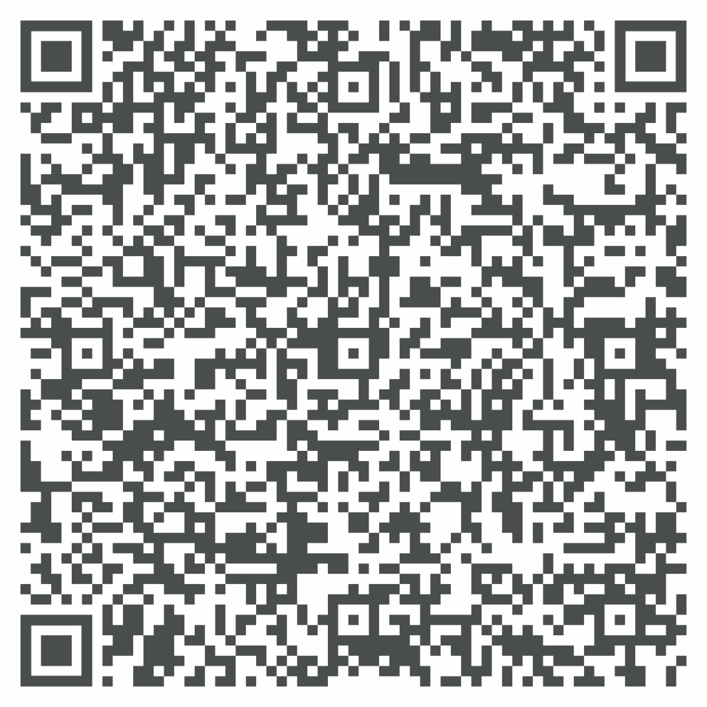 Audit kybernetické bezpečnosti | Mgr. Alexandra Mára Paurová | Štěpán Horák | kybernetická bezpečnost pro malé a střední firmy